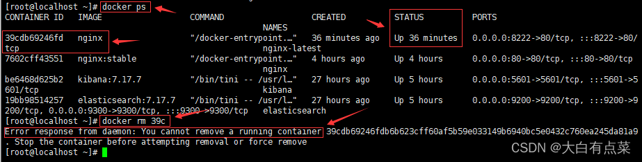 查看Docker中运行中的Nginx容器并删除